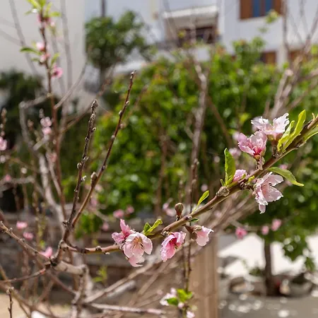 公寓 Amaranto Naxos *