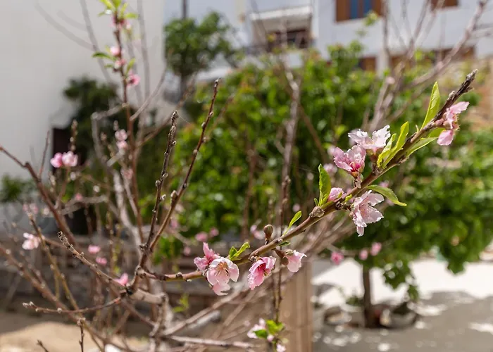 Διαμέρισμα Amaranto Naxos *